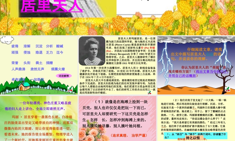 小学六年级语文下课文学习_18、跨越百年的美丽