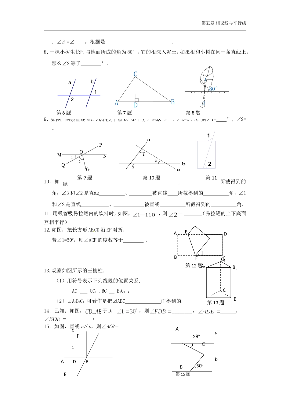人教版七年级下册数学第五章习题集_第3页
