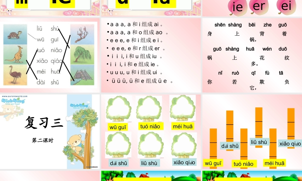 一年级拼音复习三(复韵母学完)课件_(16)