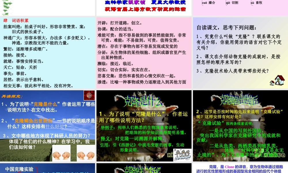 《奇妙的克隆》课件06