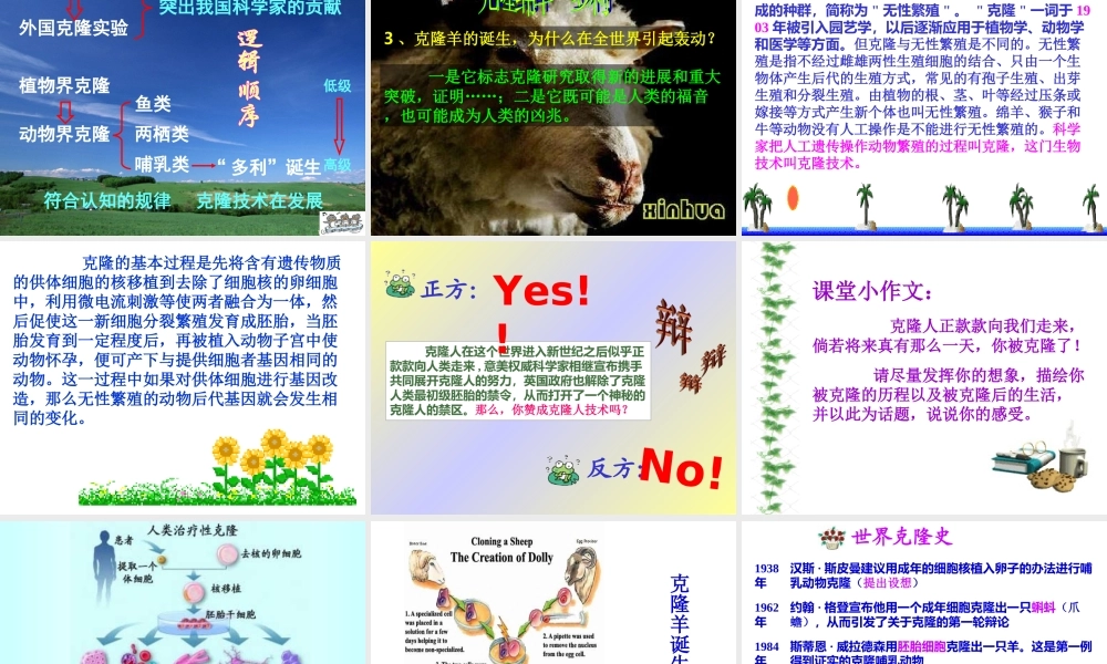 《奇妙的克隆》课件06