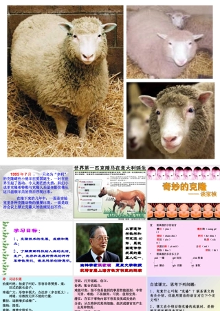 《奇妙的克隆》课件06