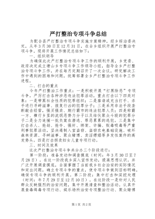 严打整治专项斗争总结