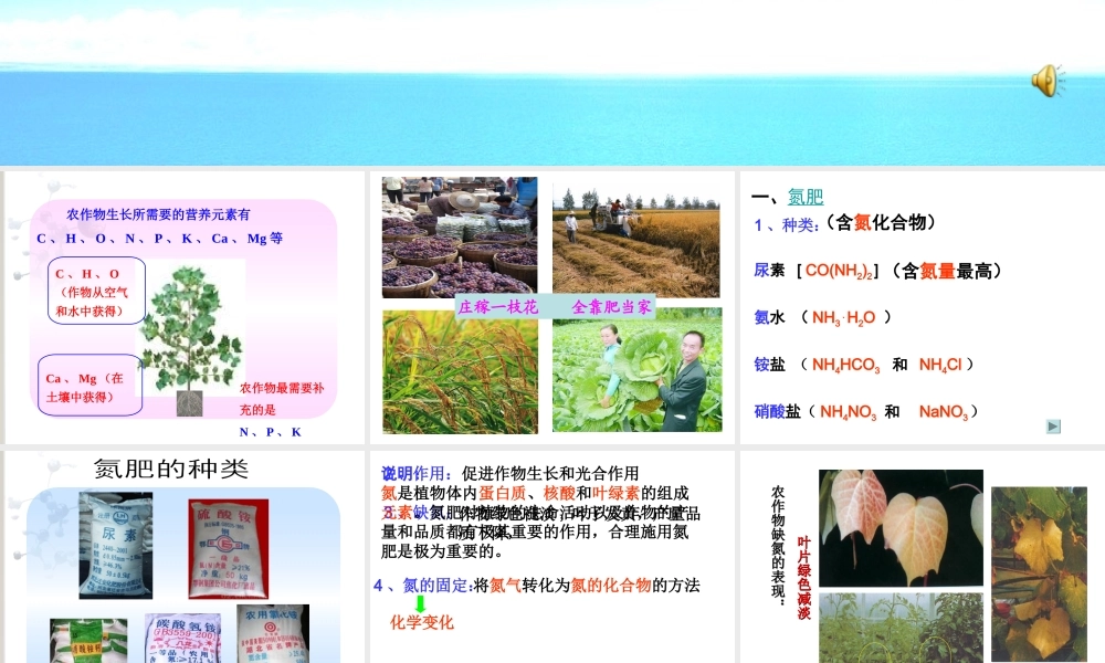 课题2化学肥料 (2)