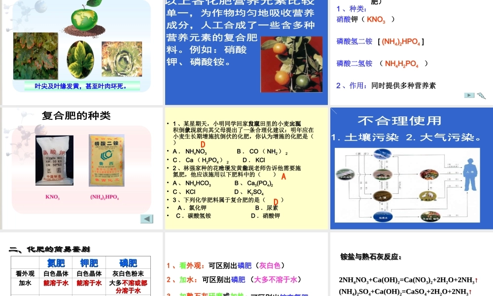 课题2化学肥料 (2)