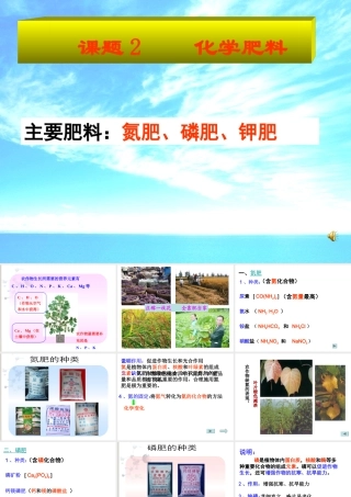 课题2化学肥料 (2)