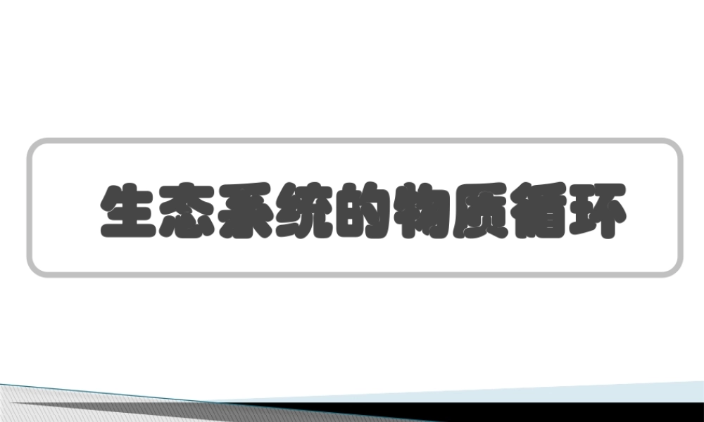 生态系统的物质循环