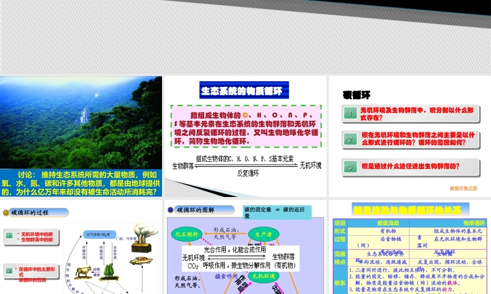 生态系统的物质循环