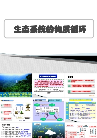 生态系统的物质循环