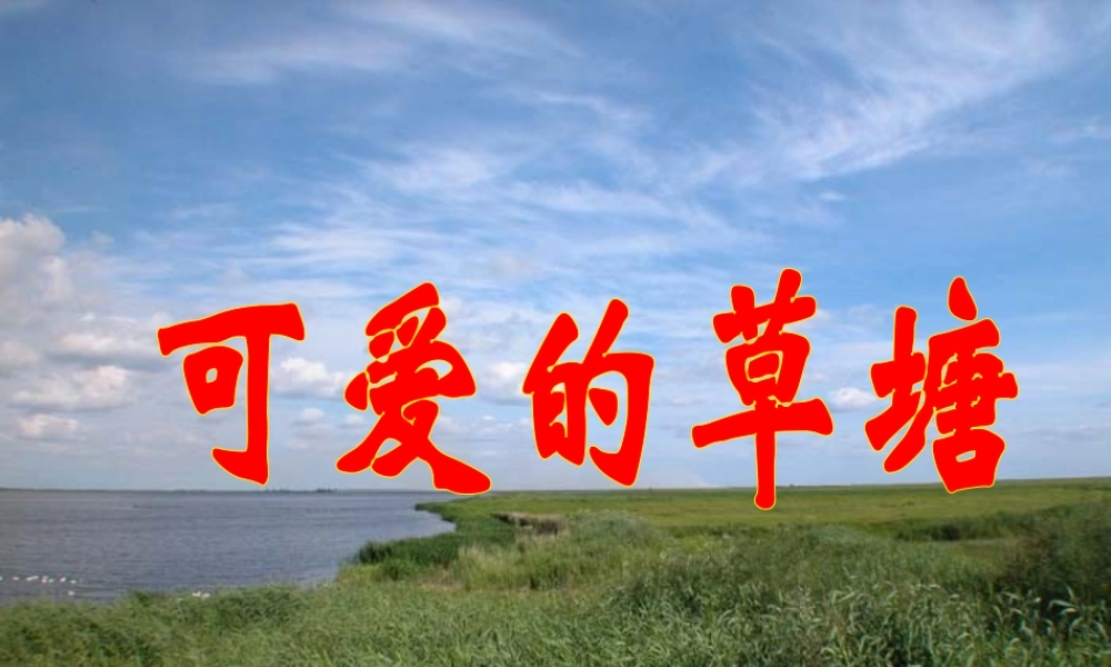 人教版四年级语文下册选读课文第6课《可爱的草塘》PPT课件
