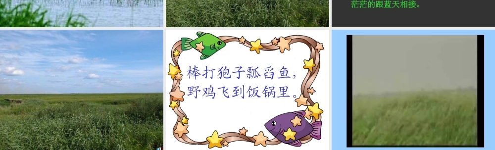 人教版四年级语文下册选读课文第6课《可爱的草塘》PPT课件