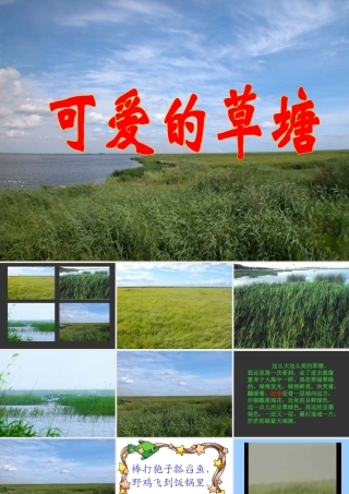 人教版四年级语文下册选读课文第6课《可爱的草塘》PPT课件