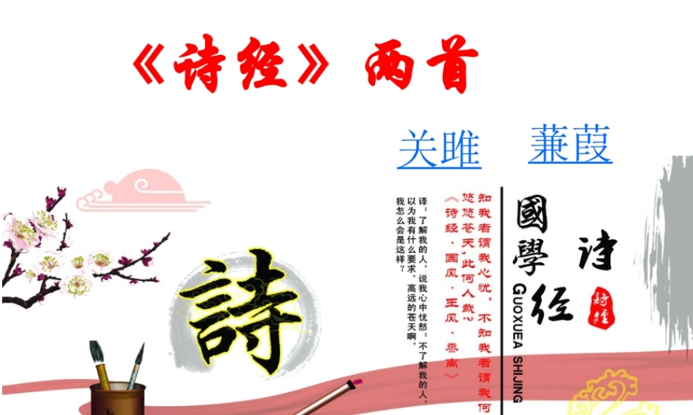 关雎蒹葭精品课件