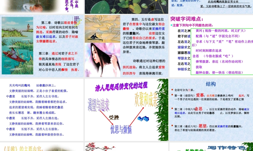 关雎蒹葭精品课件