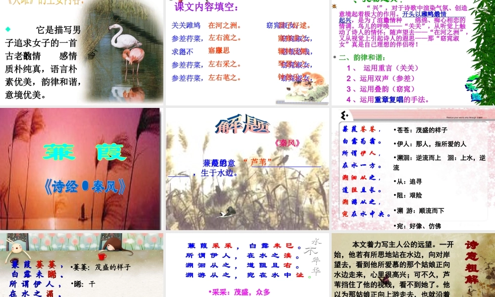 关雎蒹葭精品课件