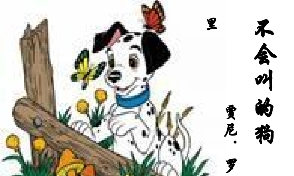 不会叫的狗新的