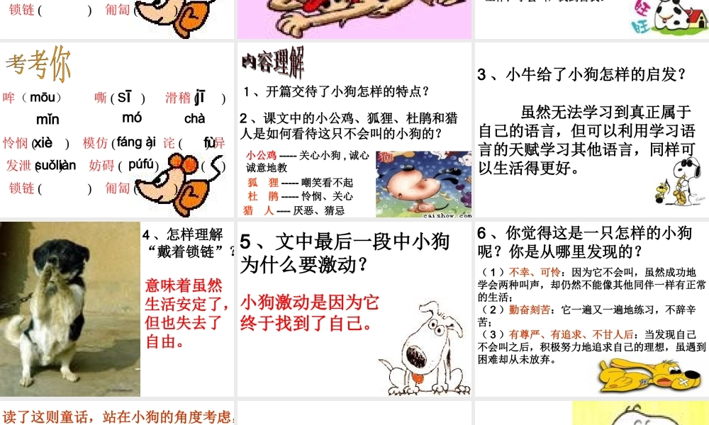 不会叫的狗新的