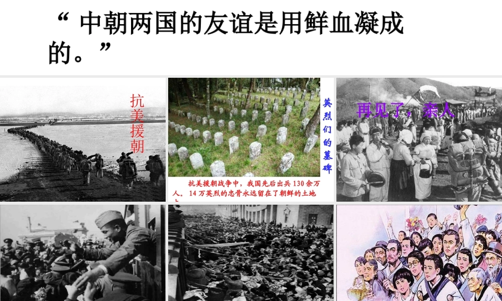 再见了亲人课件最新定稿