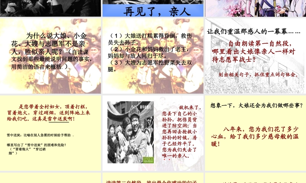 再见了亲人课件最新定稿