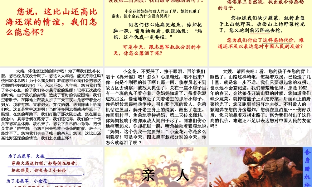 再见了亲人课件最新定稿