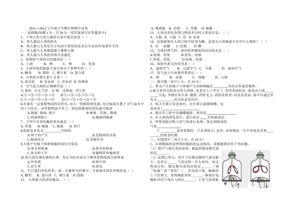 七年级下学期期中试卷_第1页