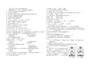七年级下学期期中试卷