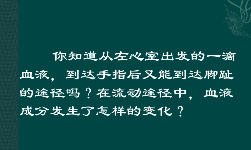 七年级生物下册92血液循环（课件3）北师大版