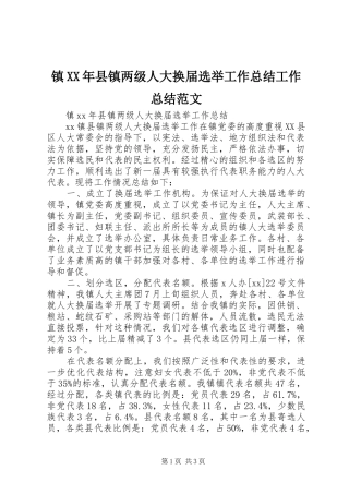 镇XX年县镇两级人大换届选举工作总结工作总结范文