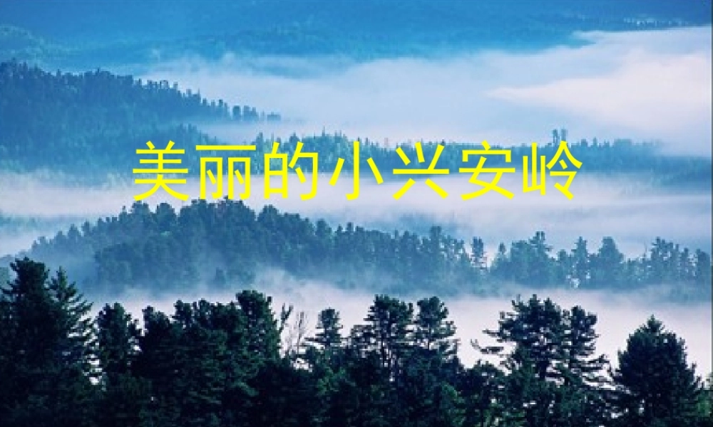 美丽的小兴安岭(公开课)