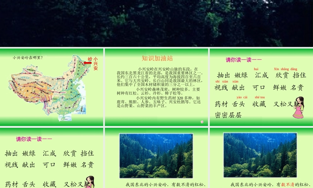 美丽的小兴安岭(公开课)