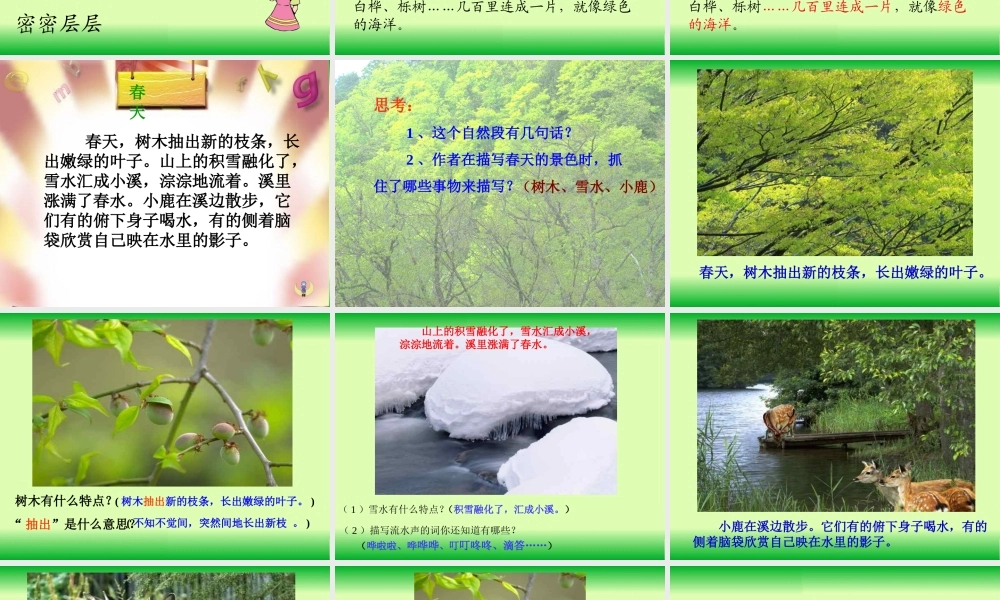 美丽的小兴安岭(公开课)