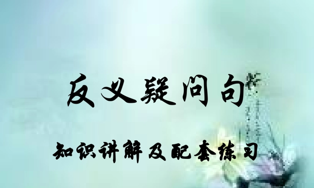 初中反义疑问句