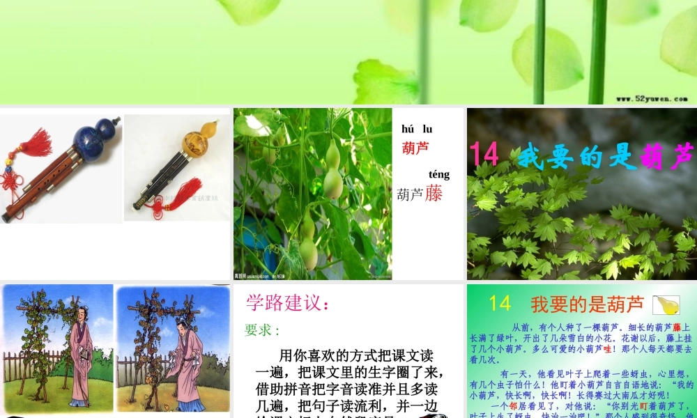 我要的是葫芦_PPT3
