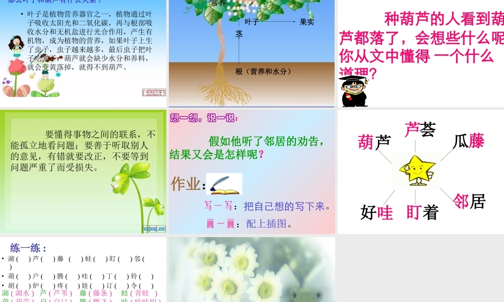 我要的是葫芦_PPT3