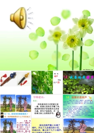 我要的是葫芦_PPT3
