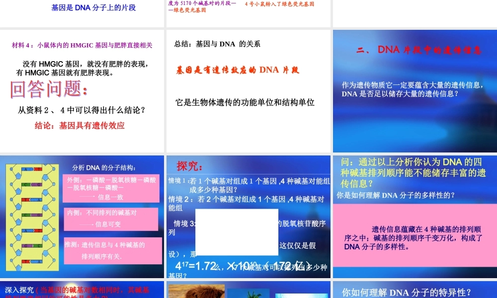 基因是有遗传效应的DNA片段 