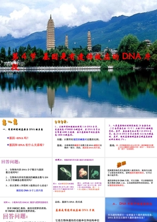 基因是有遗传效应的DNA片段 