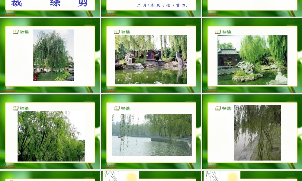 古诗两首咏柳PPT课件