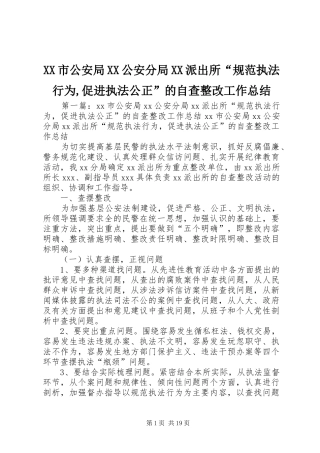 XX市公安局XX公安分局XX派出所“规范执法行为,促进执法公正”的自查整改工作总结