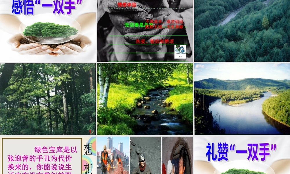 一双手曲沟镇一中吴翠红