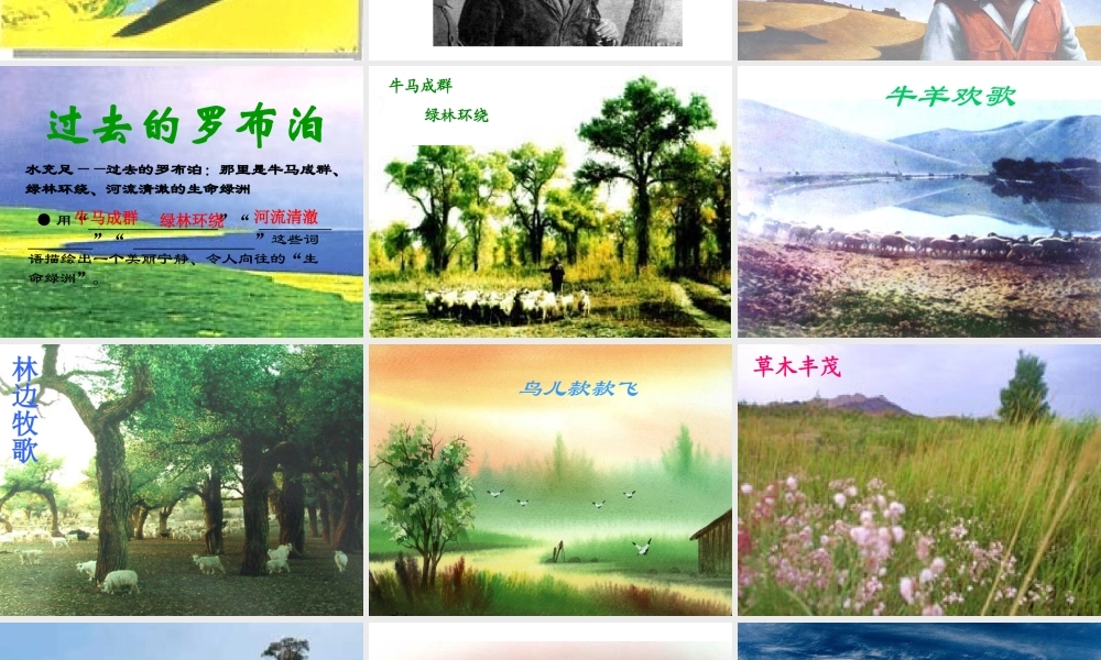 罗布泊_消逝的仙湖