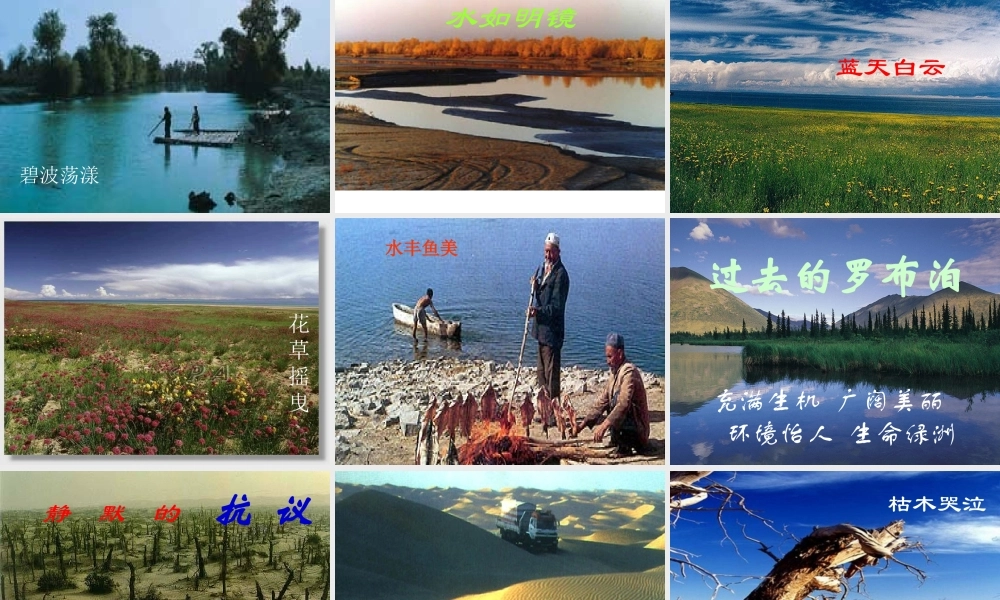 罗布泊_消逝的仙湖