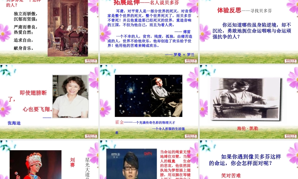 《音乐巨人贝多芬》课件