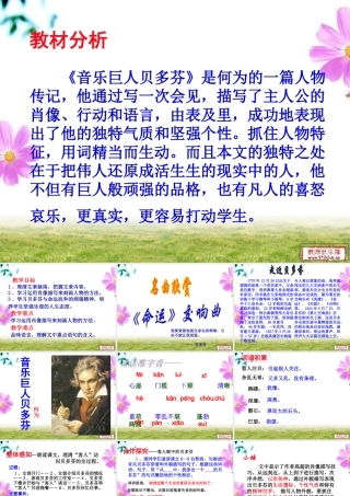 《音乐巨人贝多芬》课件