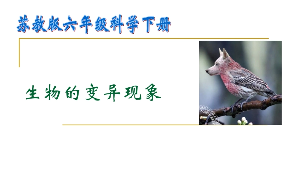 苏教版小学科学六年级下册-----《生物的变异现象》