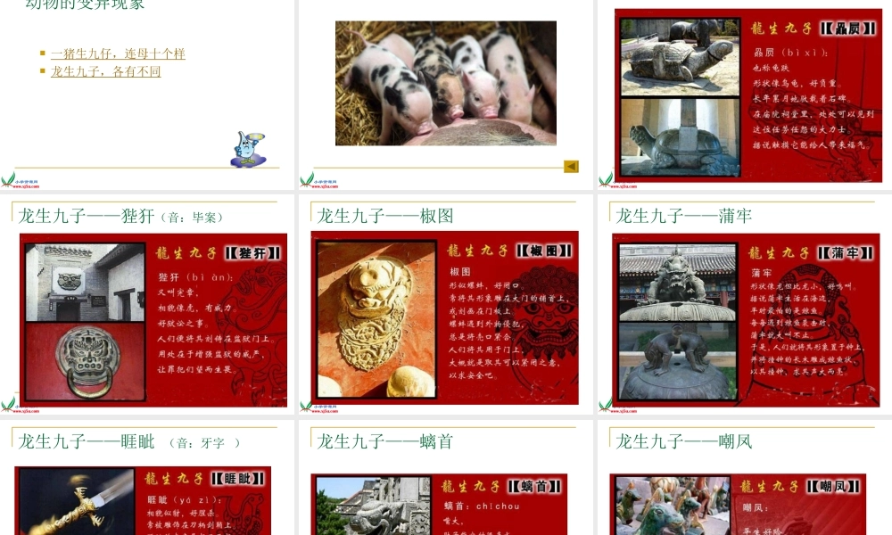 苏教版小学科学六年级下册-----《生物的变异现象》