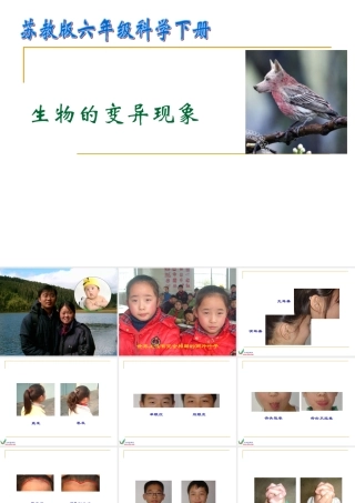 苏教版小学科学六年级下册-----《生物的变异现象》