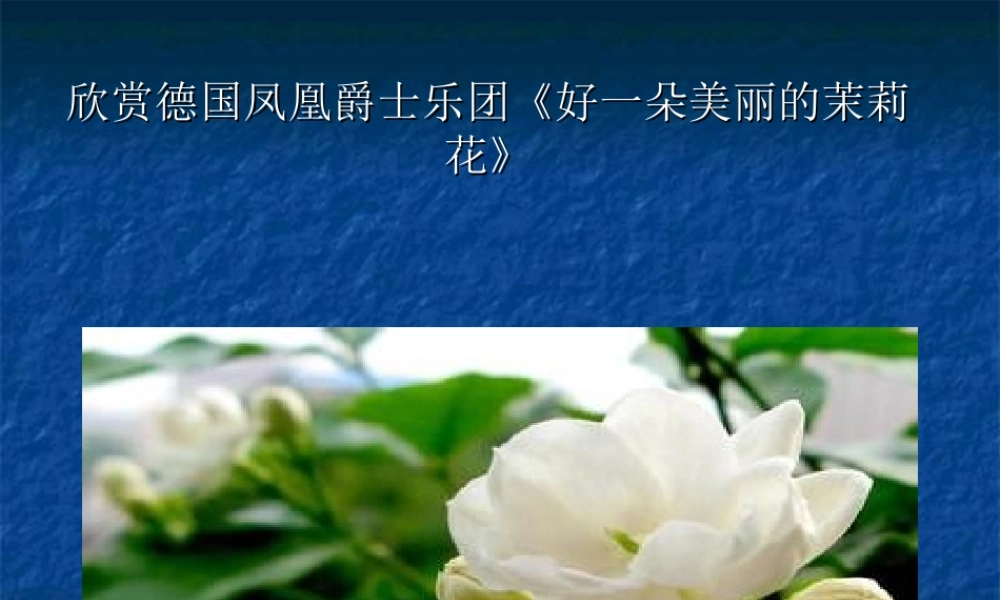 高中一年级音乐第一课时课件