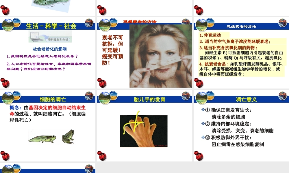 《细胞的衰老和凋亡》课件（1）