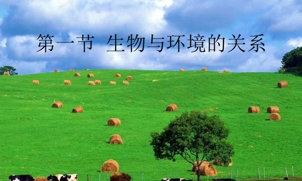 第一节生物与环境的关系第课时